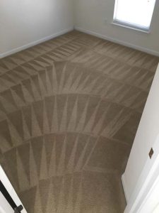 Carpet Cleaning in Charlotte, Carpet Cleaning