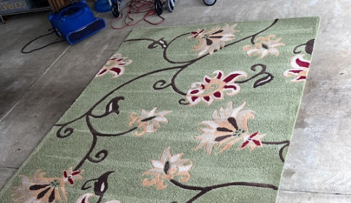 Area rug cleaning