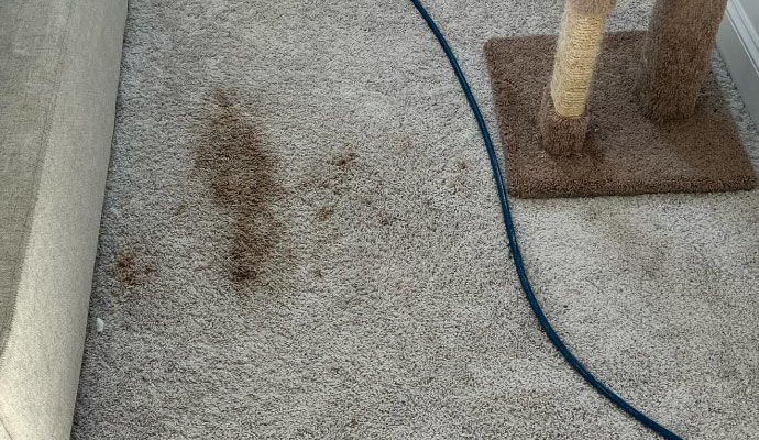 Carpet with stain