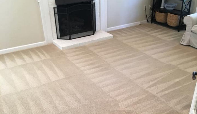 clean carpet on the floor