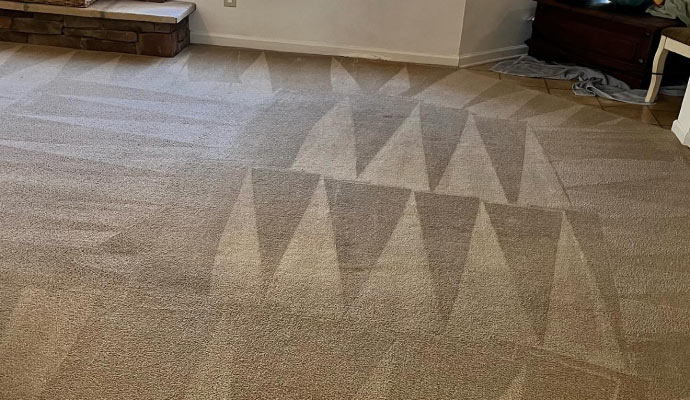 Freshly cleaned carpet