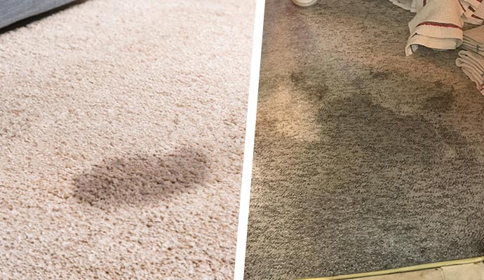 Collage of pet urine and water damaged carpet