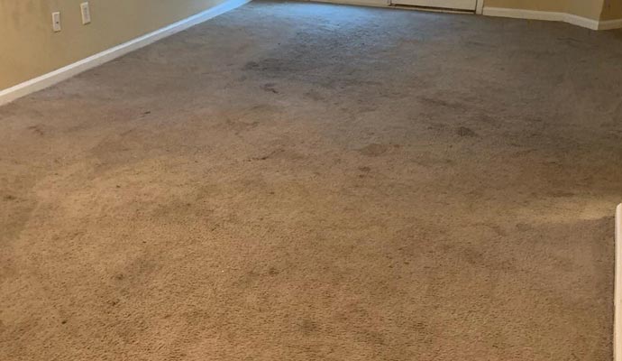 dirty carpet showing multiple stains and discolorations