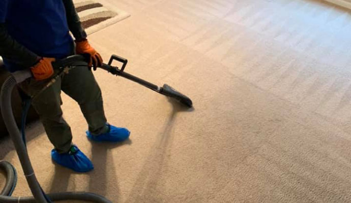 Carpet Odor Removal in Charlotte