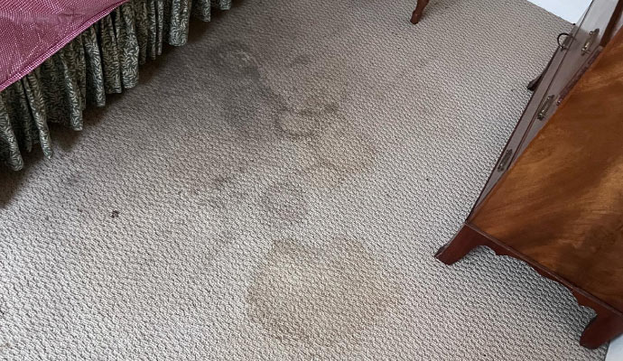 carpet with dirt stains in living room