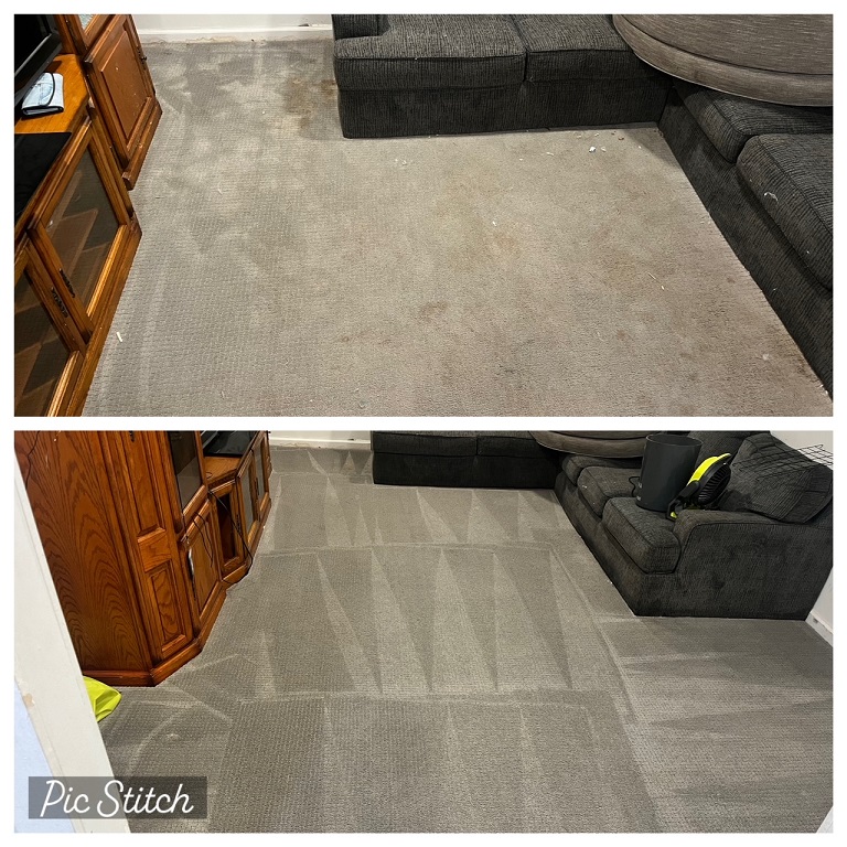 Carpet Cleaning Stain Removal