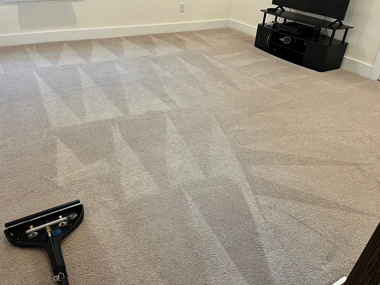 Carpet Cleaning