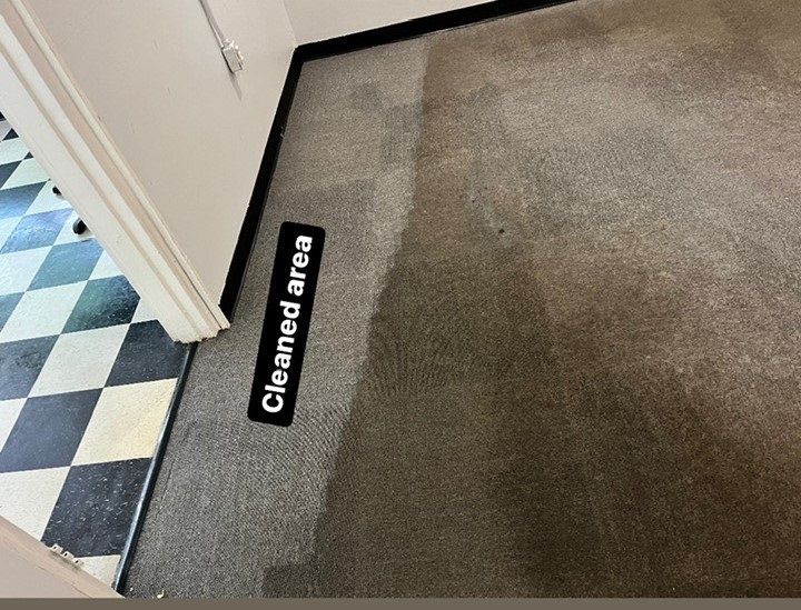 Commercial Carpet Cleaning