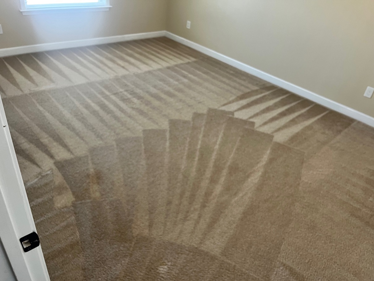 Carpet Cleaning