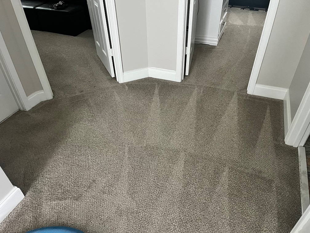 Carpet Cleaning