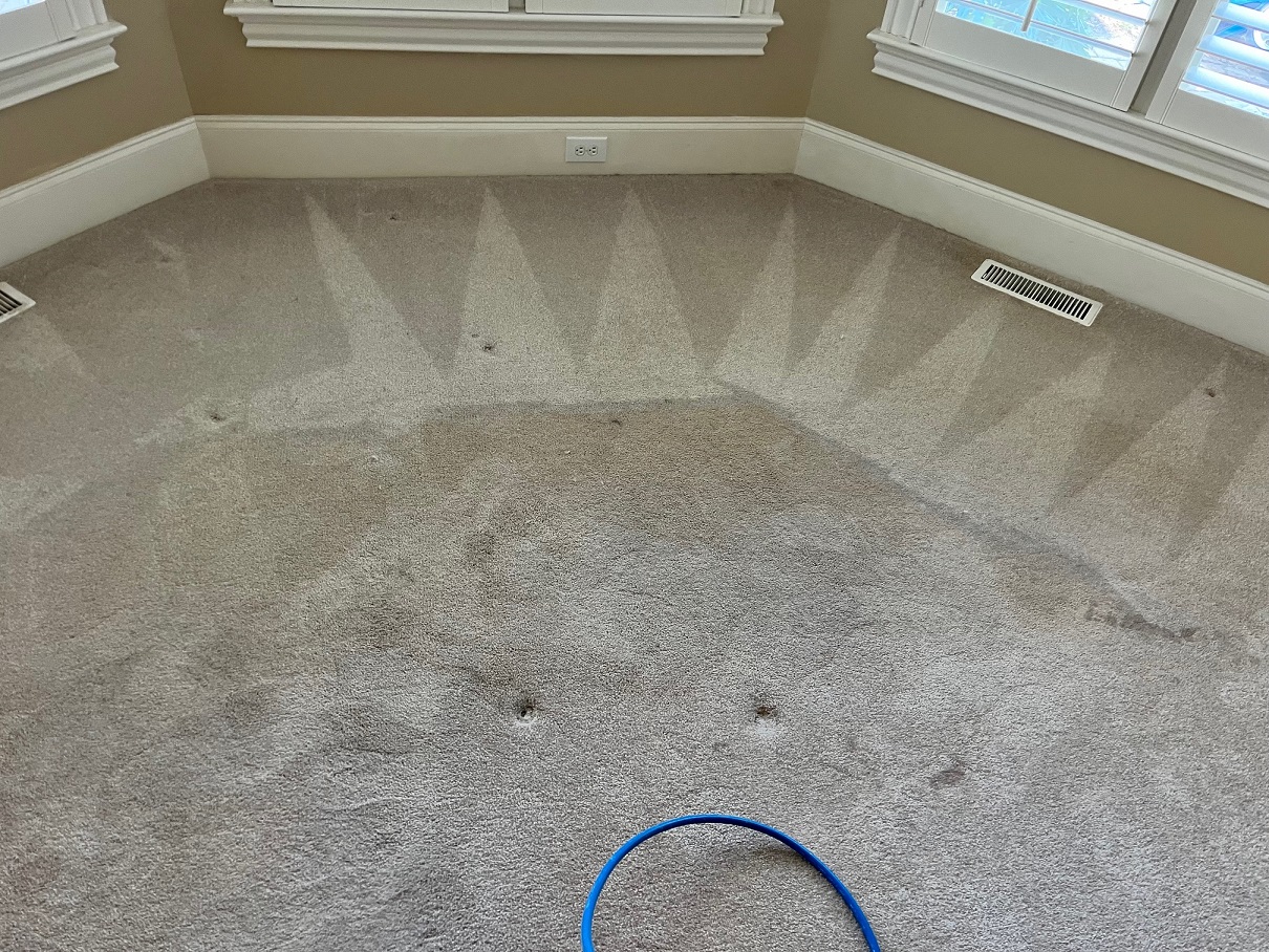 Carpet Cleaning Before