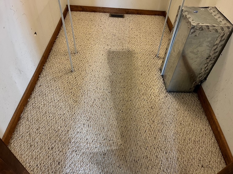 Carpet Cleaning in-progress