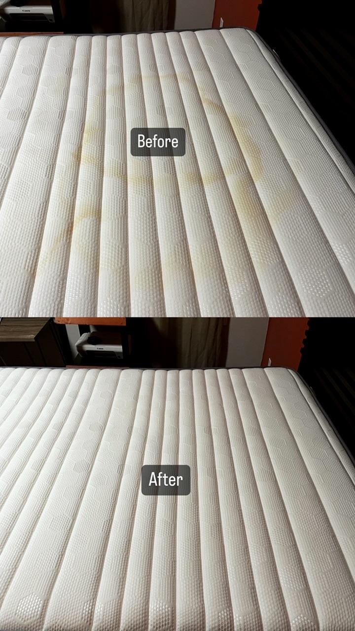 Mattress Cleaning Urine Removal