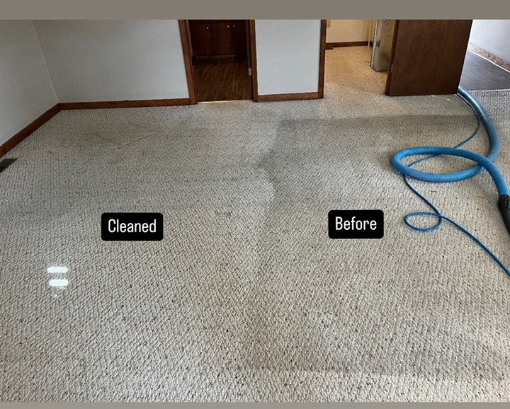 Carpet Cleaning