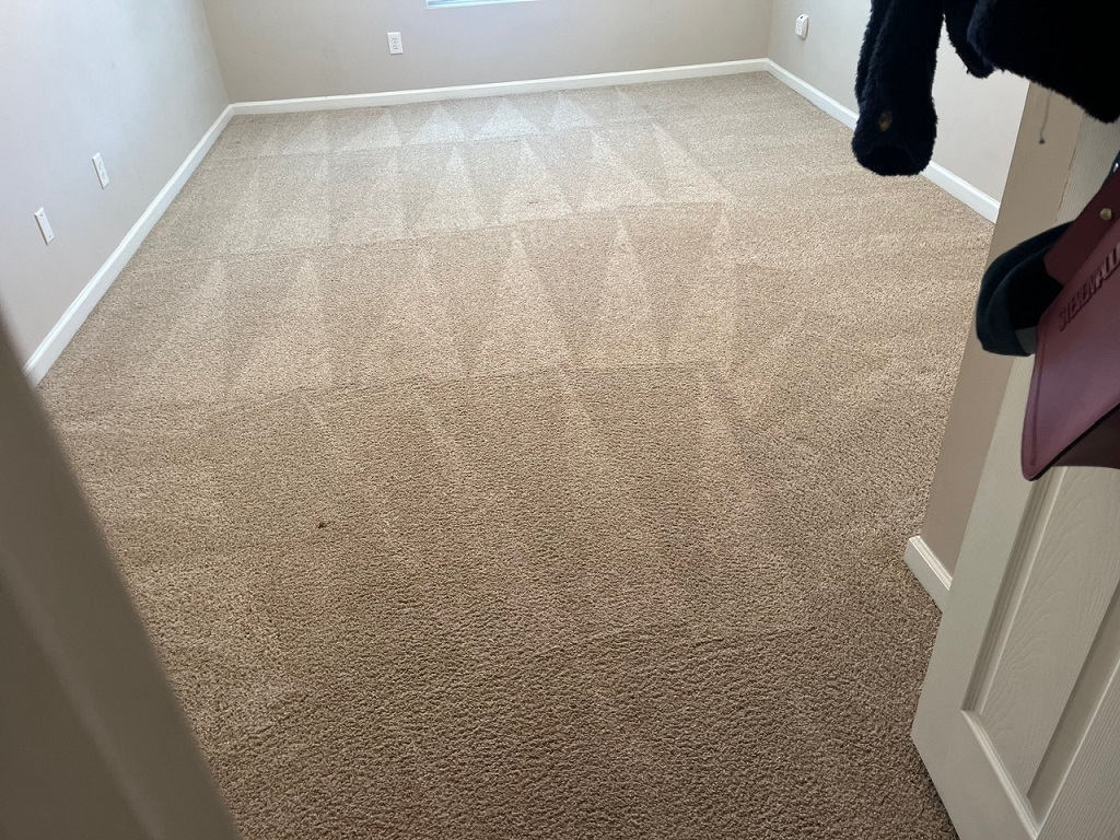 Carpet Cleaning Completed