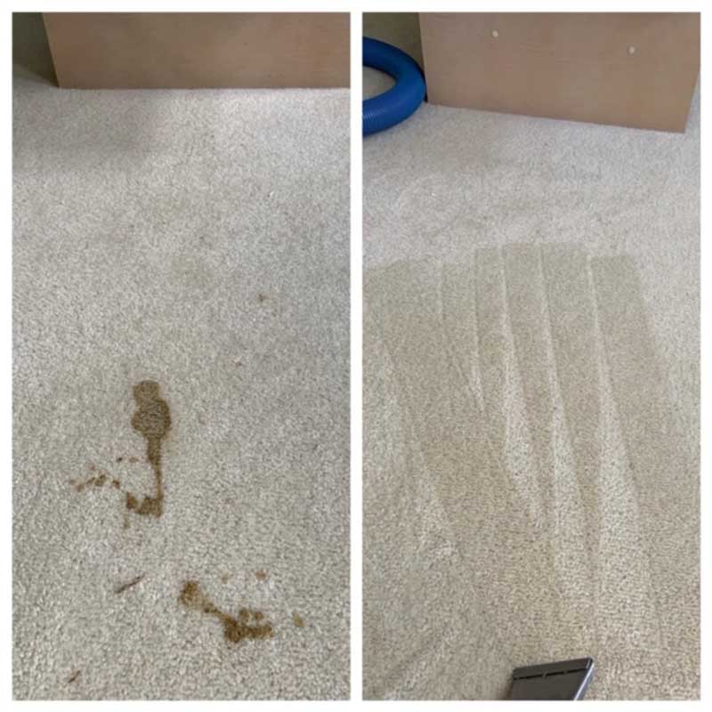 Pet Accident Cleaning on Carpet - before & after