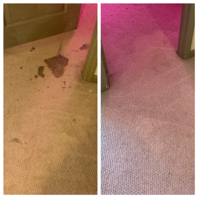 Barbeque Stain on Carpet