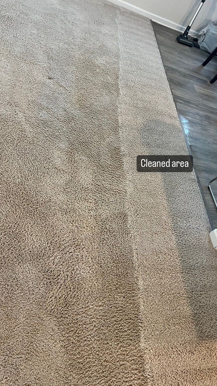 Carpet Cleaning