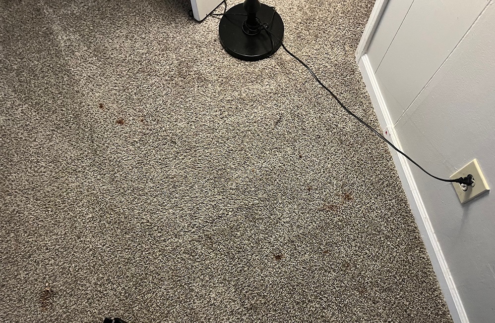 Makeup Stains in carpet before cleaning