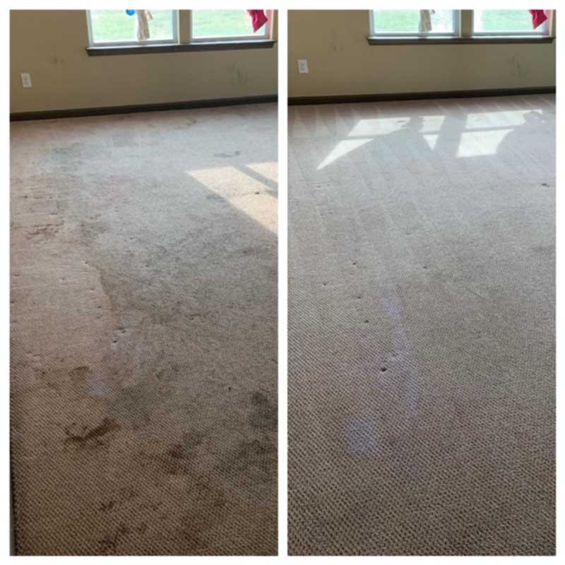 Carpet cleaning before & after mud stains