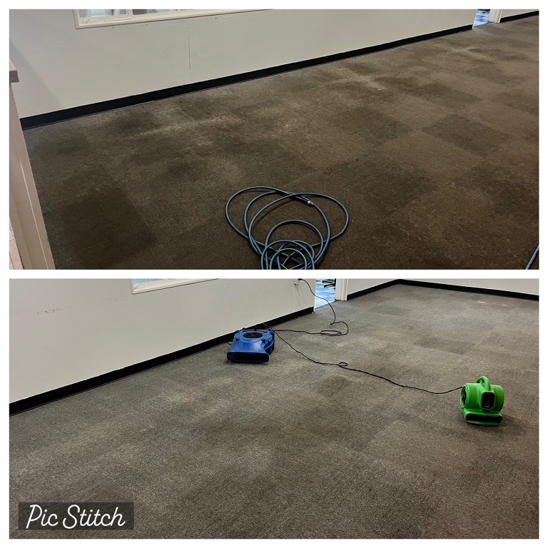 Commercial Carpet Cleaning