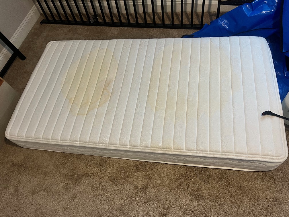 Mattress Cleaning Urine Removal