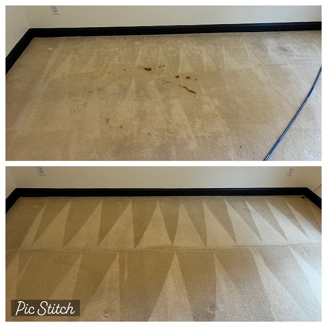 Carpet Cleaning Milkshake Stain Removal