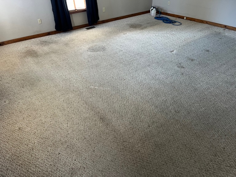 Before Carpet Cleaning