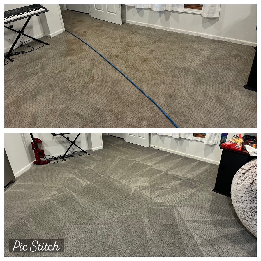 Pet Treatment Carpet Cleaning