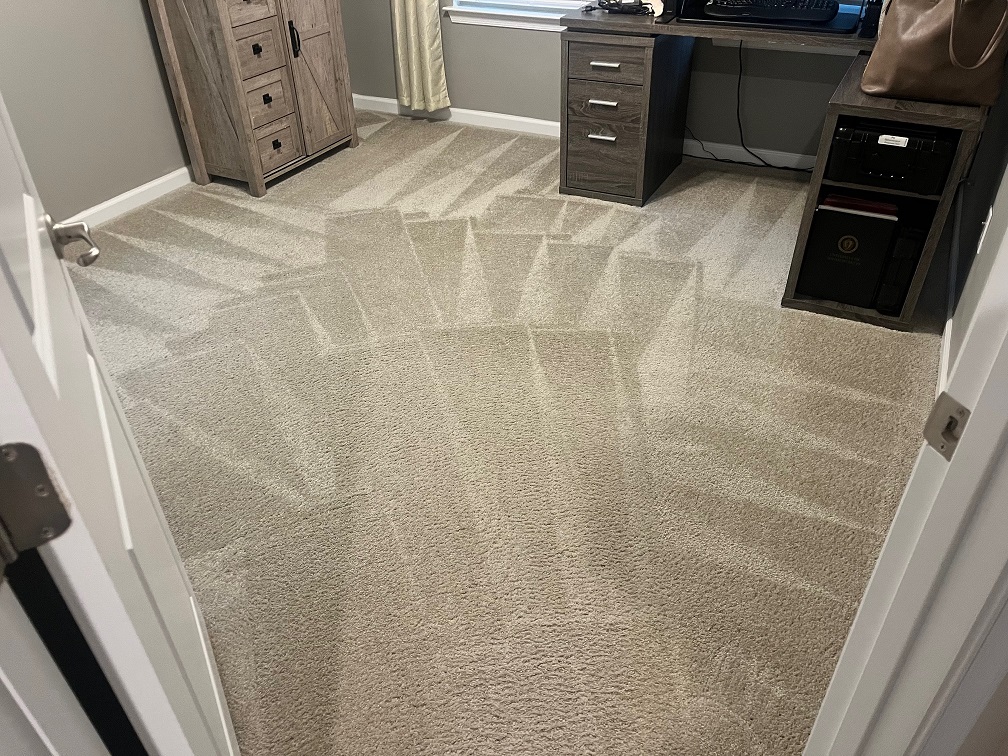 Carpet Cleaning