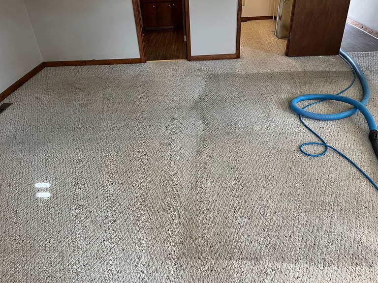 Carpet Cleaning in-progress