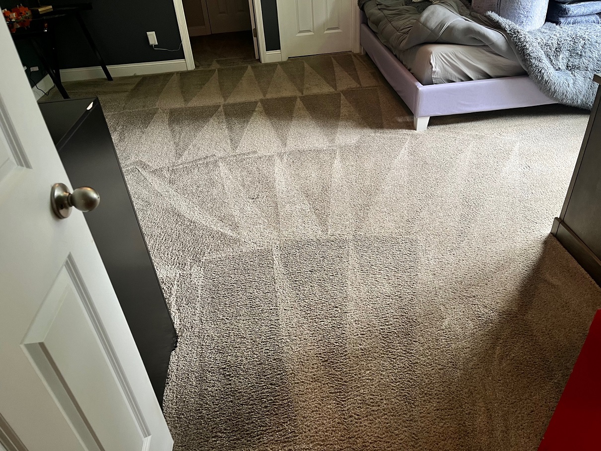 Carpet Cleaning