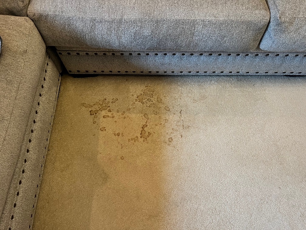 Before Carpet Clean