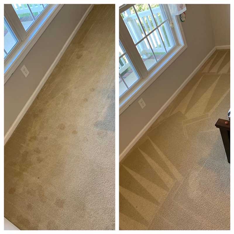 Carpet Cleaning for Move Out Cleaning