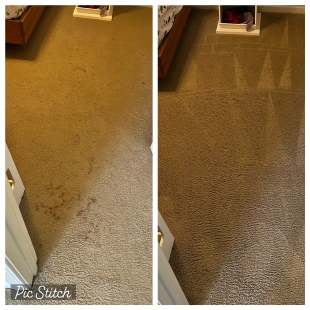 Blood Stain Removal