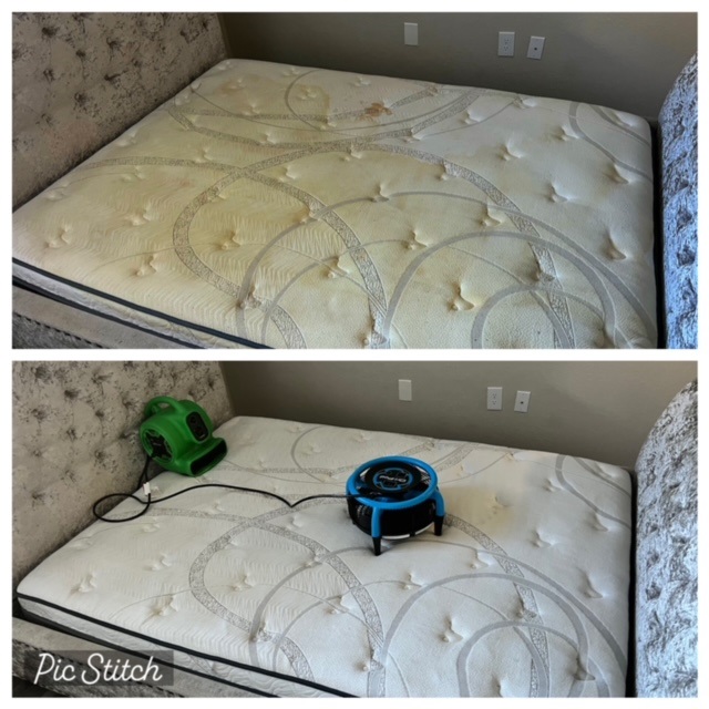 Mattress Cleaning Urine Waxhaw NC