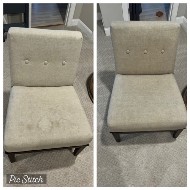 Upholstery Cleaning