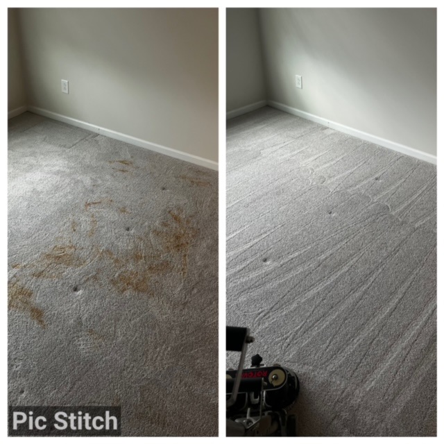 Pet Treatment Carpet Cleaning