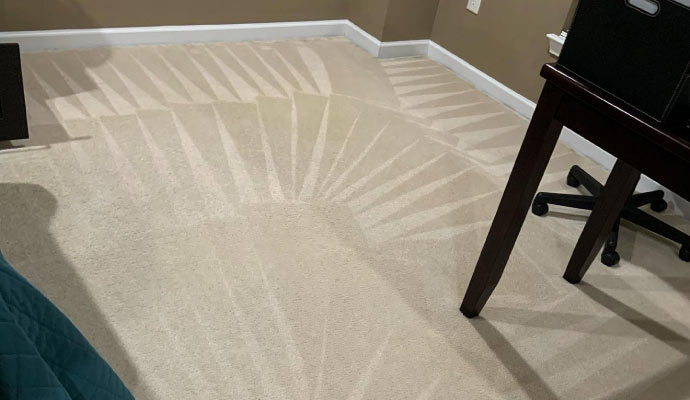 Clean and odorfree carpet