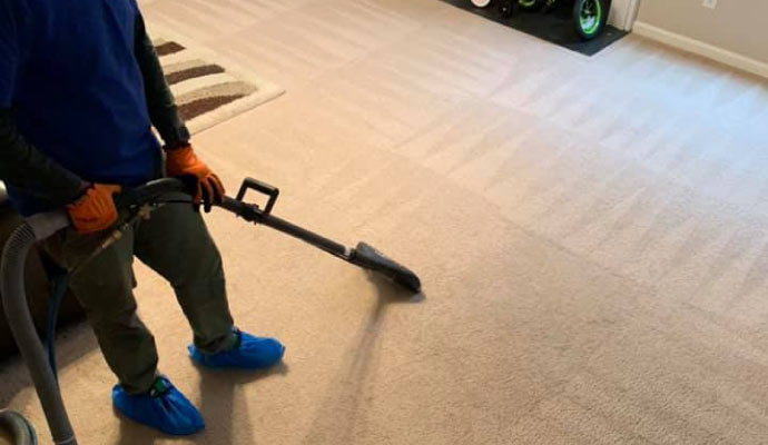 Person cleaning carpet with vacuum cleaner