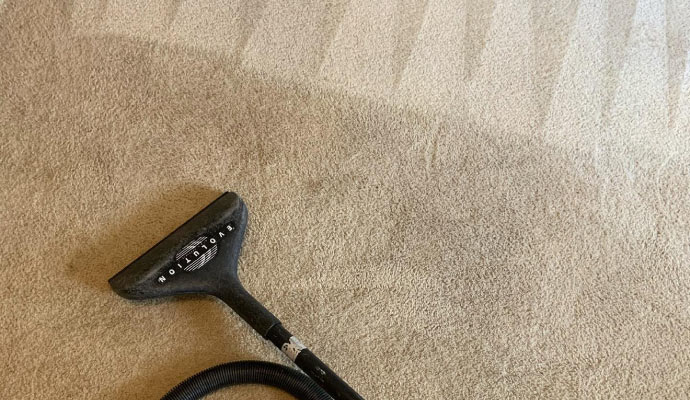 Premium carpet cleaning service