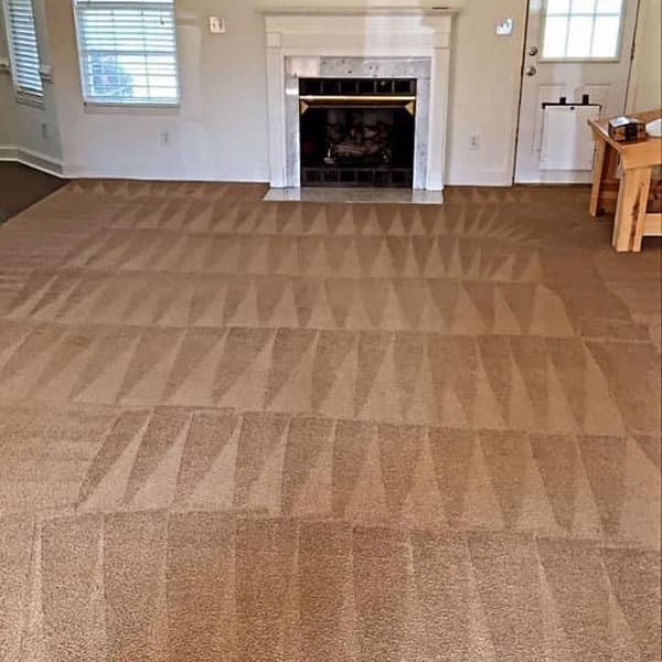 Carpet Cleaning in Charlotte, Carpet Cleaning