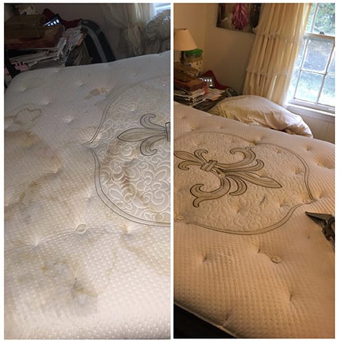 Mattress Cleaning in Charlotte, Mattress Cleaning