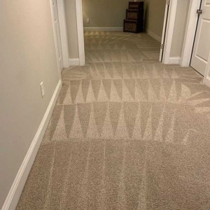 Carpet Cleaning Gallery, Gallery