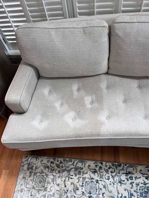 Upholstery Cleaning in Charlotte, Upholstery Cleaning